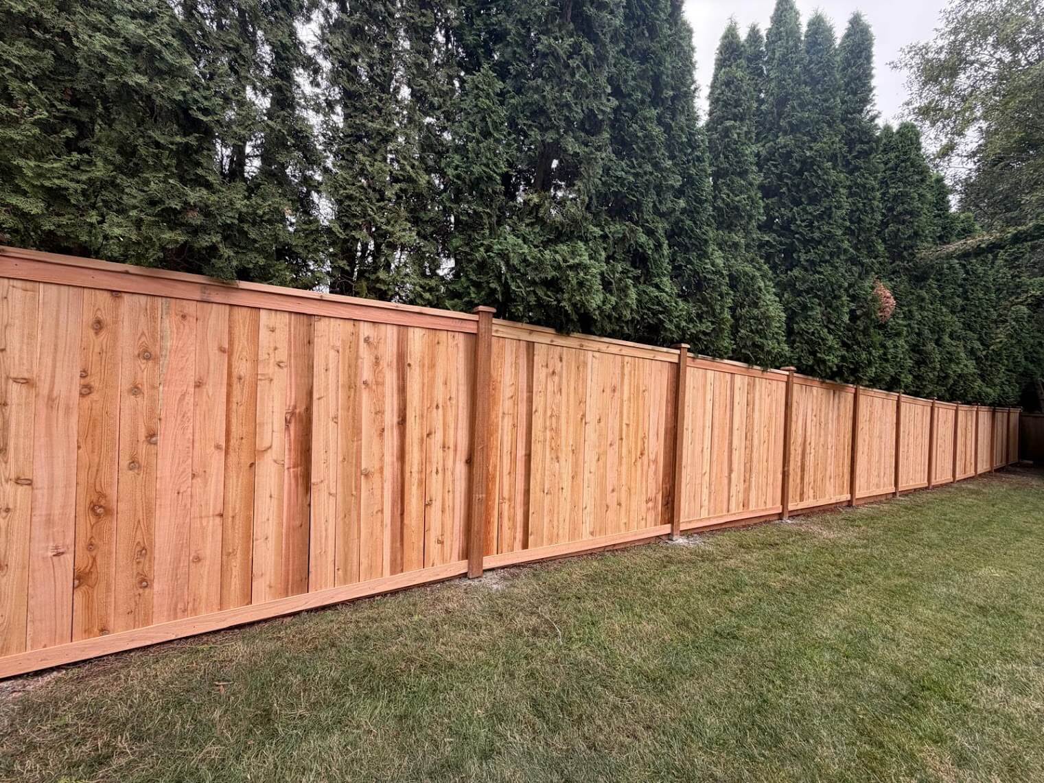 Dediosfence img1